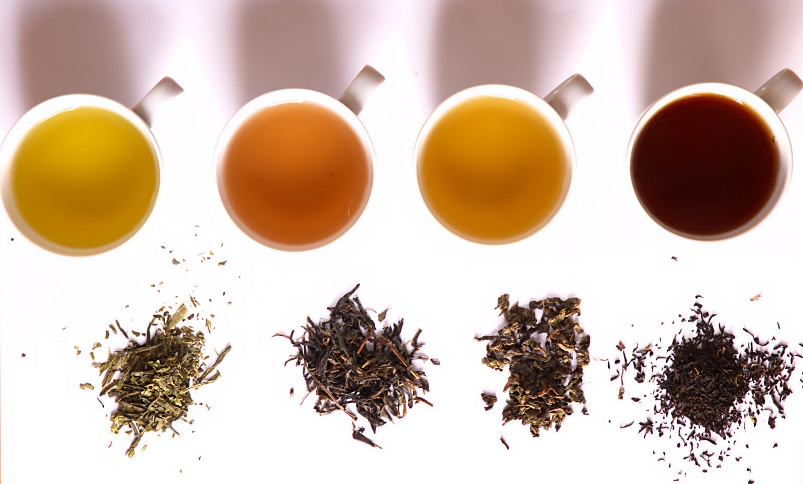 Different Types of Tea