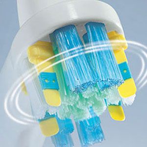 Electric Toothbrush Bristles
