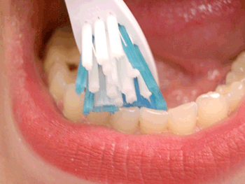 Brushing Inside Teeth